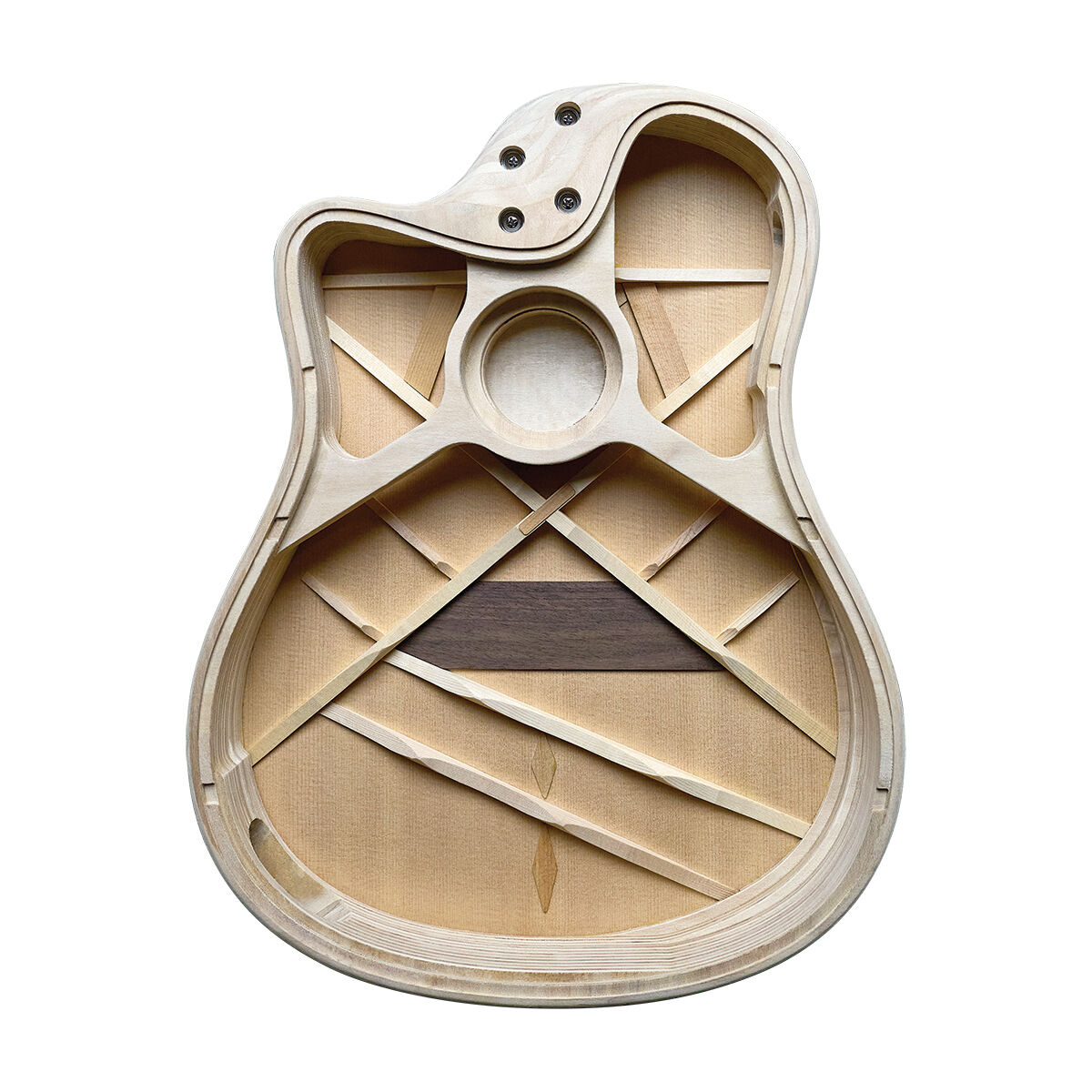 Baggs AEG-1 High-performance Acoustic Electric Guitar Torrefied Sitka Spruce [LRBAEG-1-TOR]