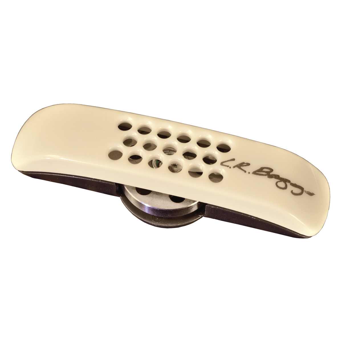 Baggs Anthem Acoustic Guitar Pickup System with Element & Microphone [LRBANTH]