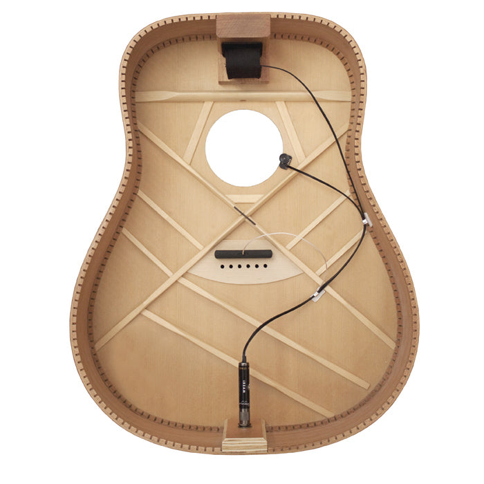 Baggs iBeam Bridge Plate Active Pickup System for Nylon String Guitar [LRBIBAS-C]