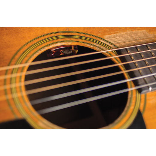 Baggs Lyric Classical Microphone Guitar System [LRBLYRIC-C]