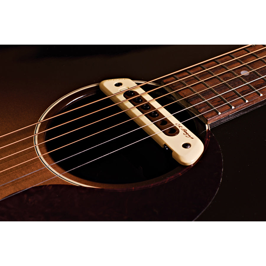Baggs M80 Soundhole Pickup [LRBM80]