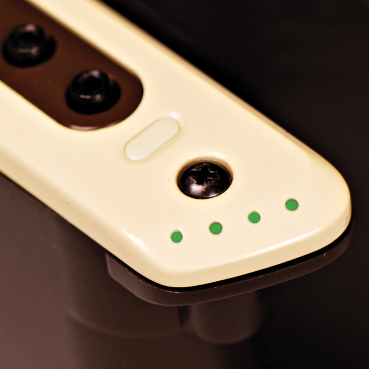 Baggs M80 Soundhole Pickup [LRBM80]