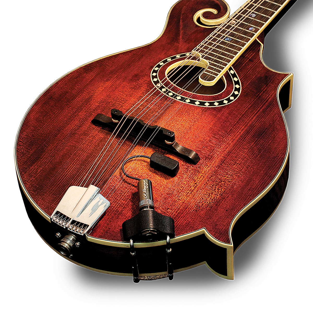 Baggs Radius Mandolin Pickup w/ jack [LRBRADM]