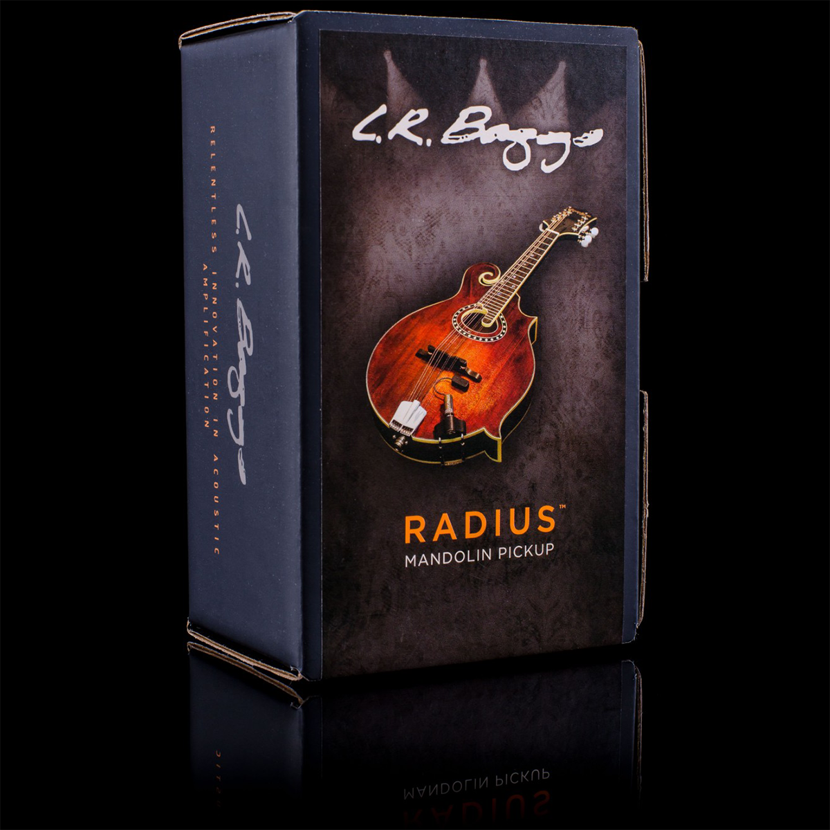 Baggs Radius Mandolin Pickup w/ jack [LRBRADM]