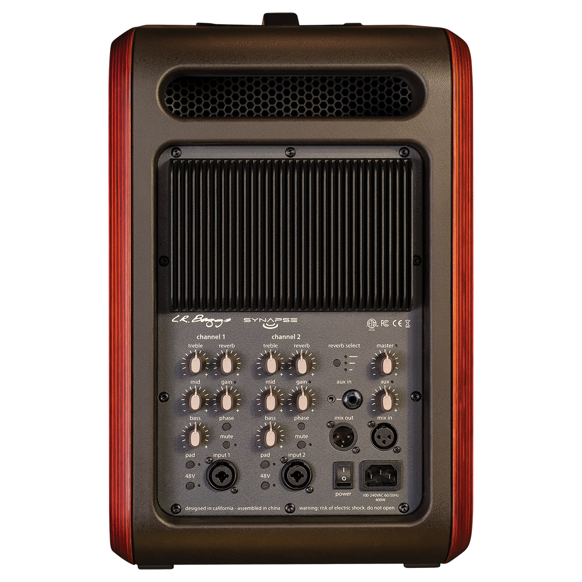 Baggs Synapse Personal PA System [LRBSYNAPSE]
