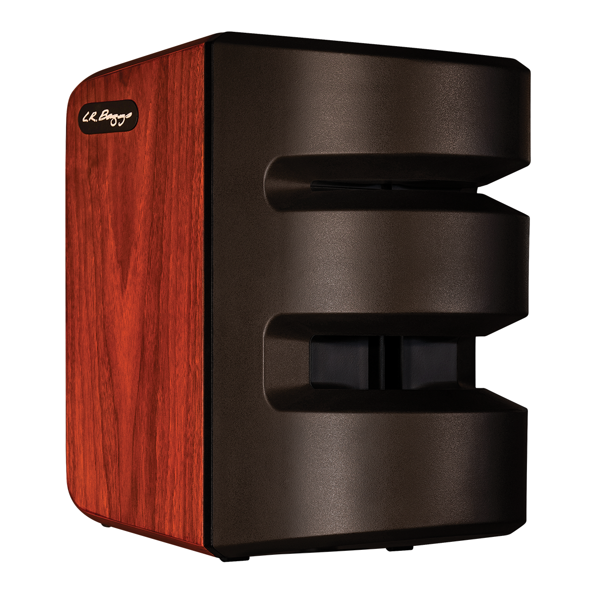 Baggs Synapse Personal PA System [LRBSYNAPSE]