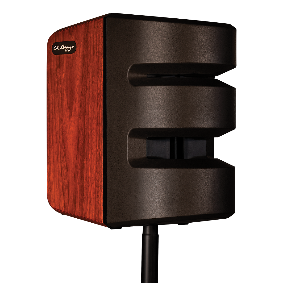 Baggs Synapse Personal PA System [LRBSYNAPSE]