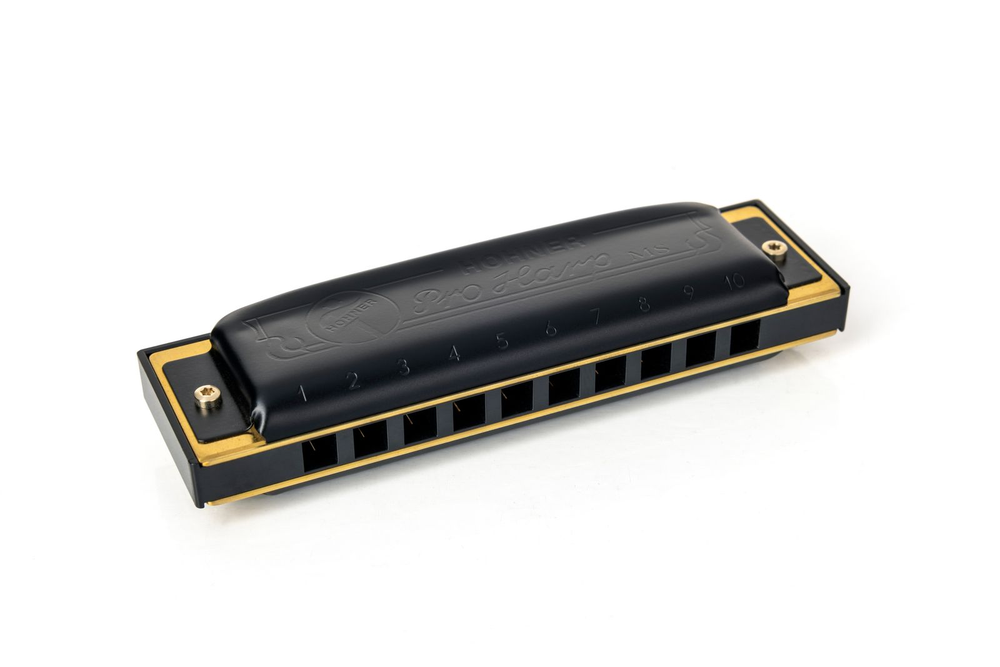 Hohner Pro Harp E-major Harmonica