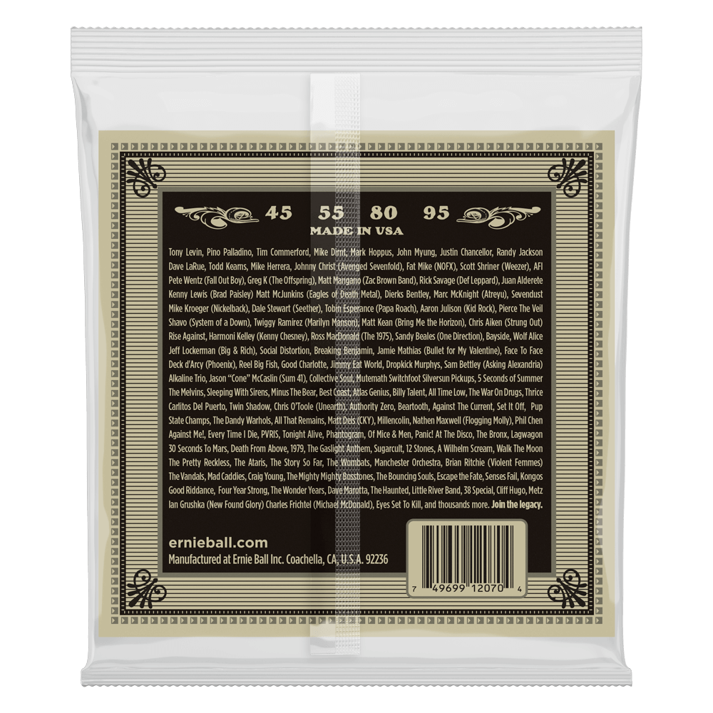 Ernie Ball Earthwood Phosphor Bronze Acoustic Bass String, 45-95 Gauge