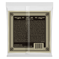 Ernie Ball Earthwood Phosphor Bronze Acoustic Bass String, 45-95 Gauge