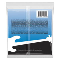 Ernie Ball Flatwound Group I Electric Bass String, 55-110 Gauge