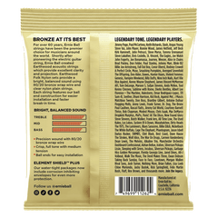 Ernie Ball Earthwood Folk Nylon, Clear and Gold w/Ball End, 8020 Brnz Ac Gtr Strings 3 Pk 28 42