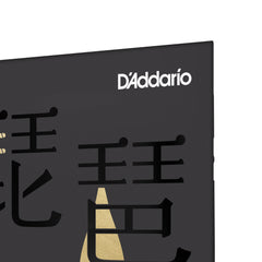 D'Addario PIPA01 Pipa Strings, Medium Tension, 17-39