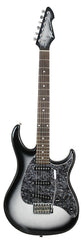 Peavey Raptor Custom Series Electric Guitar in Silverburst (3SC)