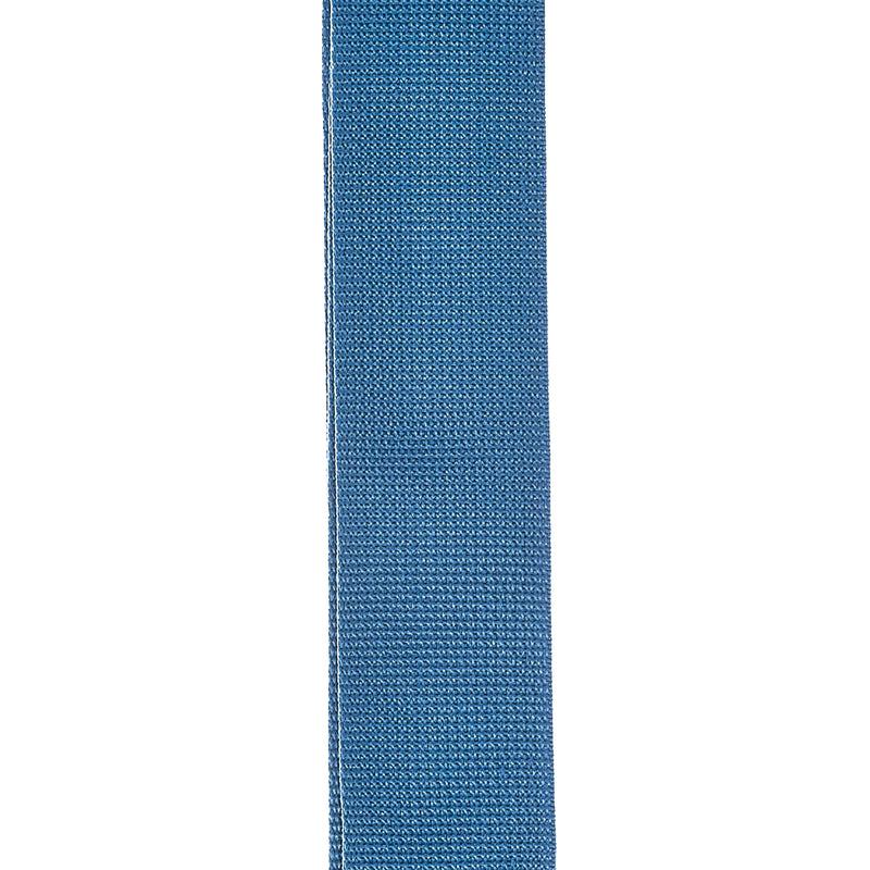 D'Addario Polypropylene Guitar Strap, Blue