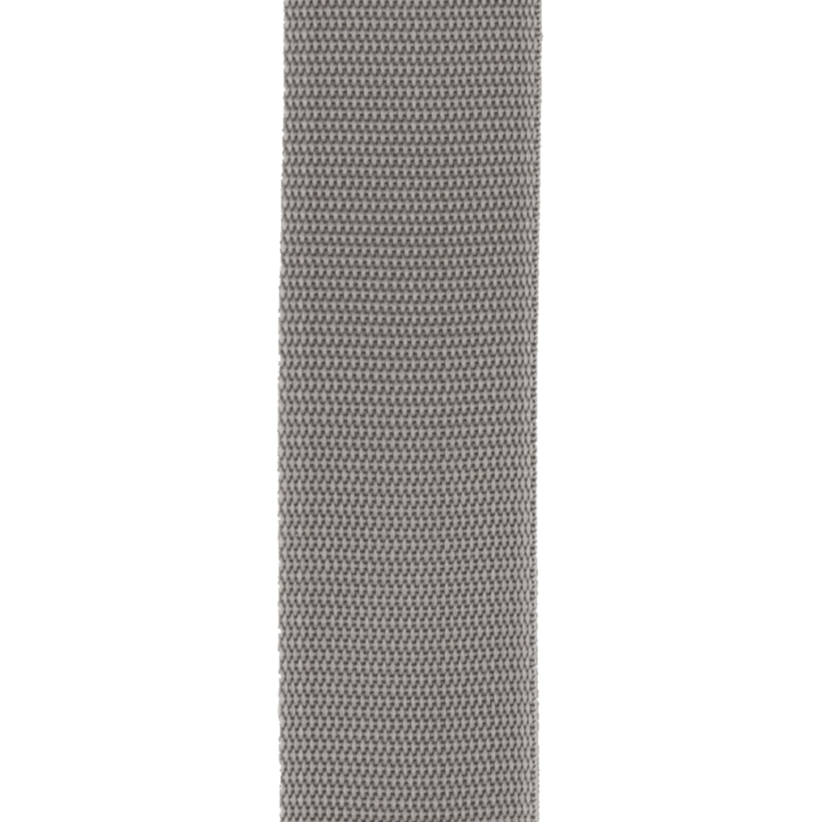 D'Addario Auto Lock Polypro Guitar Strap, Silver