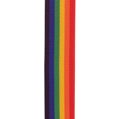D'Addario Auto Lock Polypro Guitar Strap, Rainbow