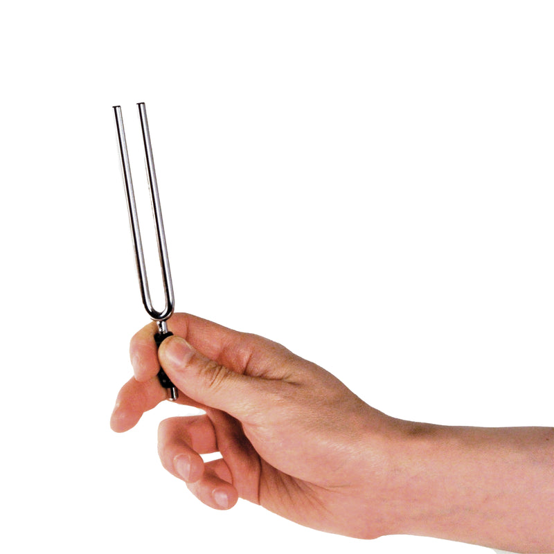 D'Addario Tuning Fork, Key of A