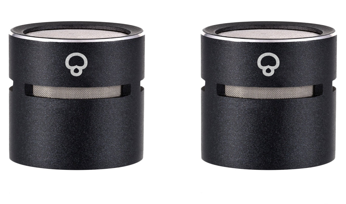 sE Electronics SE8 Super Cardioid Capsules - Matched Pair