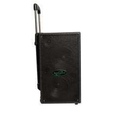 SoundArt 100 Watt Rechargeable Wireless PA System with DVD Player