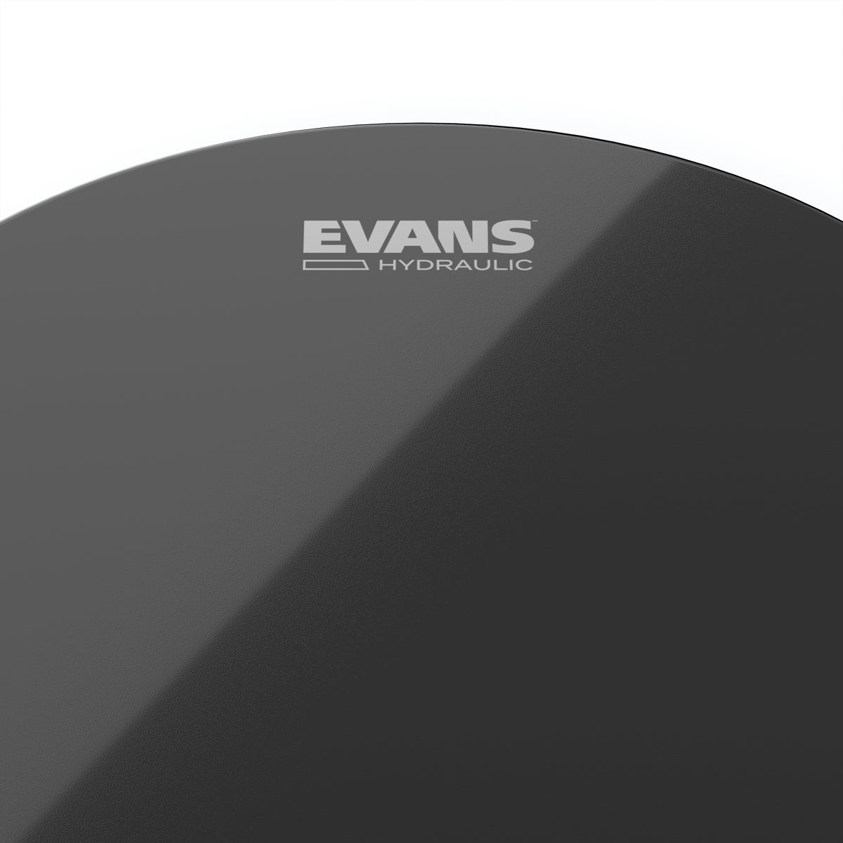 EVANS Hydraulic Black Drum Head, 14 Inch