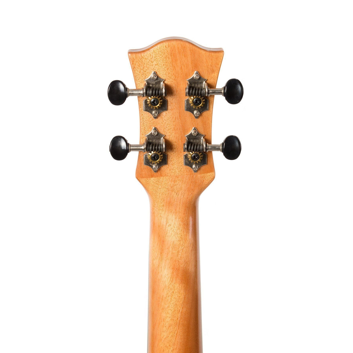 tiki tfmc-2p-nst