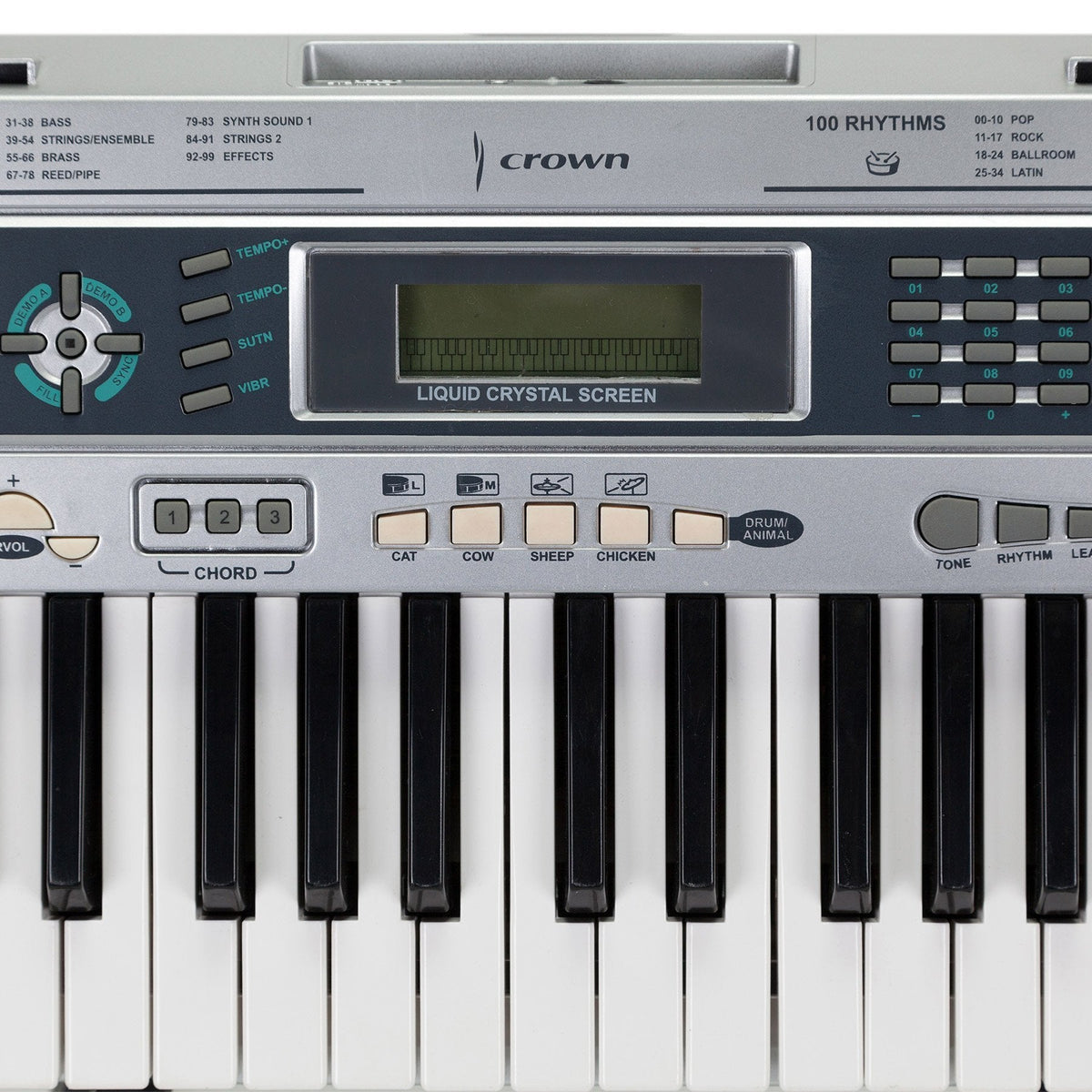 Crown 49 Note Portable Electronic Keyboard with Teaching Function