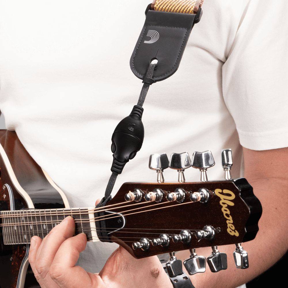 D'Addario Small Instrument Quick-Release System