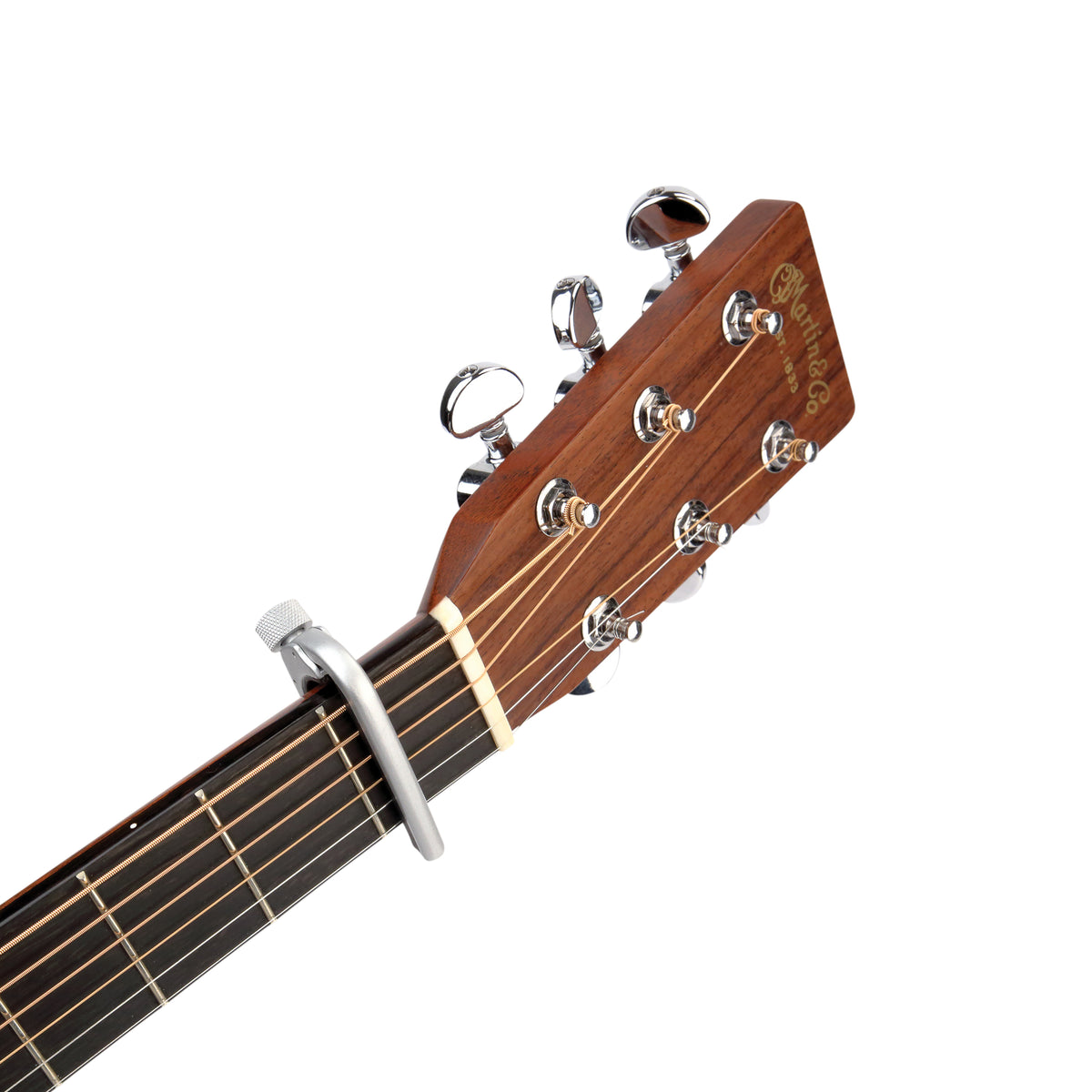 D'Addario Pro Capo, Silver