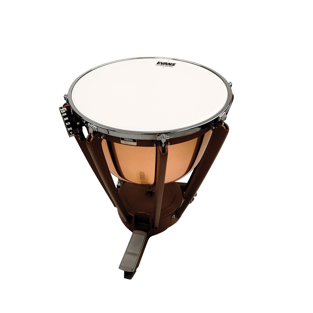 Evans Orchestral Timpani Drum Head, 24.25 inch