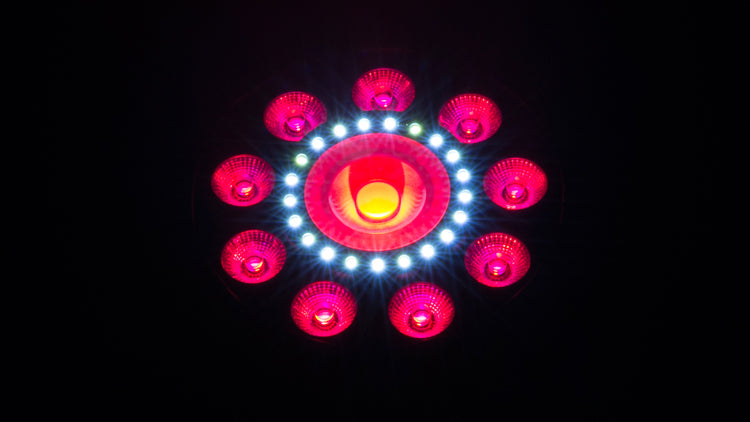Chauvet DJ FXpar 9 LED Effect Light