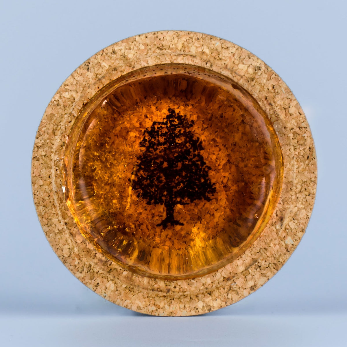 Melos Rosin – Light – Violin