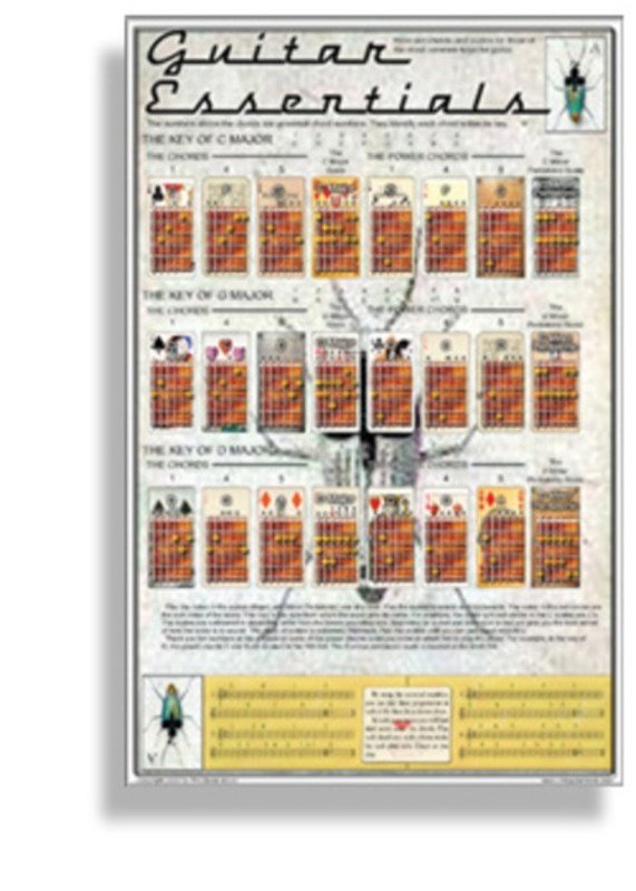 Poster Guitar Essentials 43X28Cm