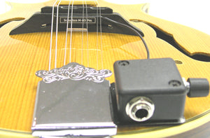 Schatten Design Schatten Bouzouki/Mandola Pu w/Mvc + Volume Control