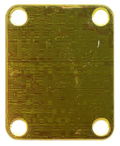 Gotoh Gold Neck Plate 5cm x 6.5cm
