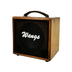 Wangs AC-60 Acoustic Guitar Amplifier