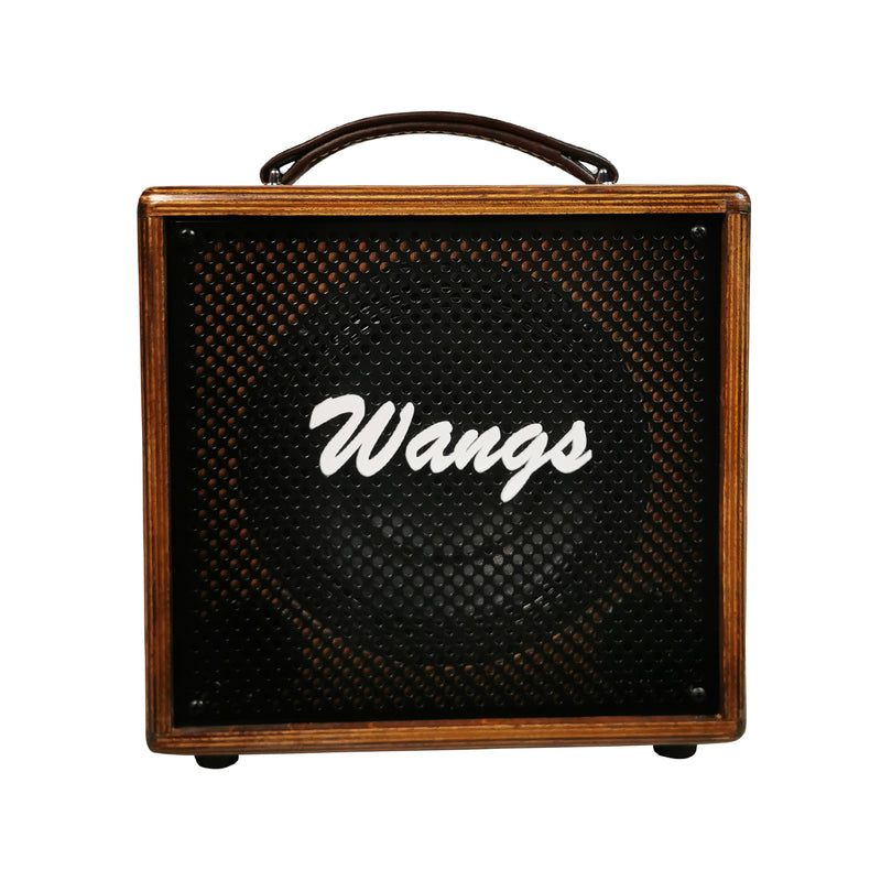 Wangs AC-60 Acoustic Guitar Amplifier