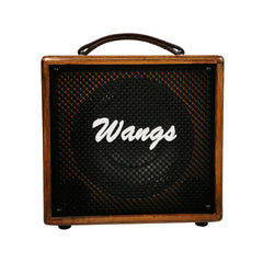 Wangs AC-60 Acoustic Guitar Amplifier