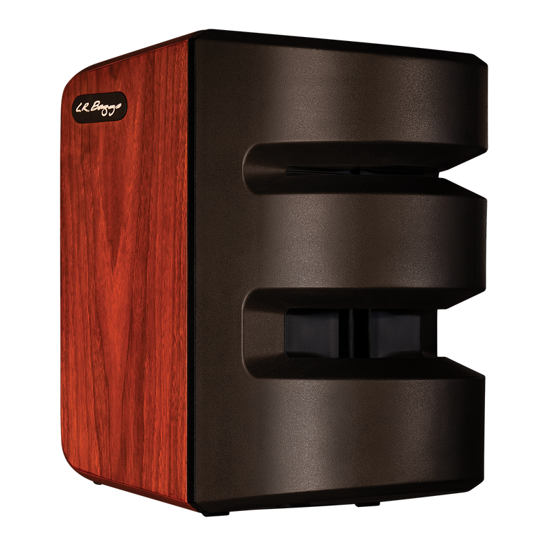 LR Baggs Synapse Personal PA System