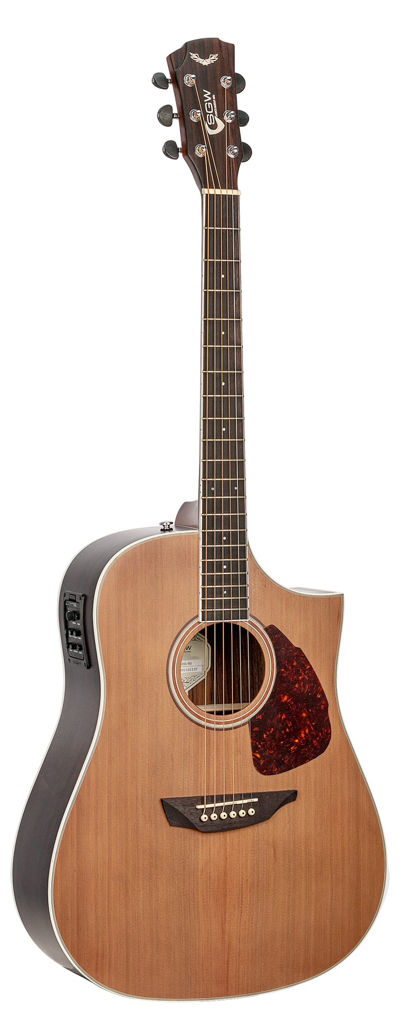 SGW Dreadnought electric/acoustic guitar.
