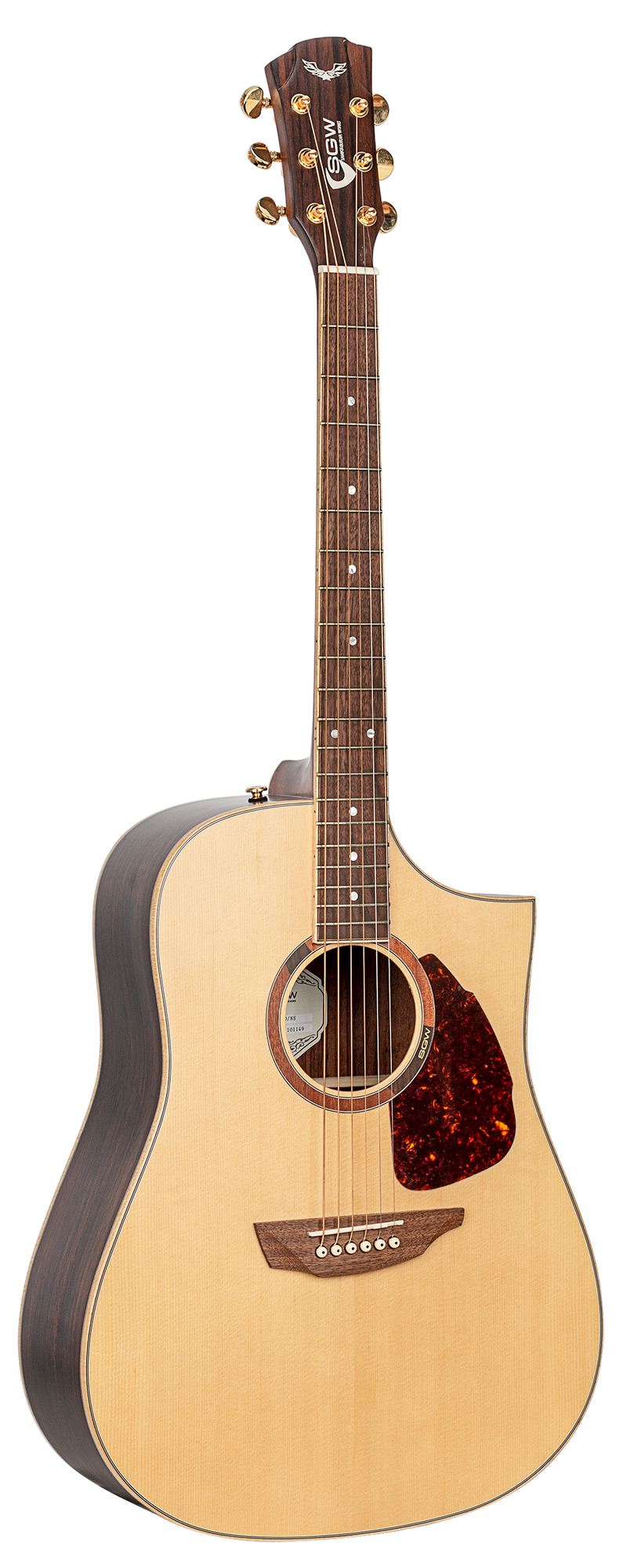 SGW Dreadnought electric/acoustic guitar.